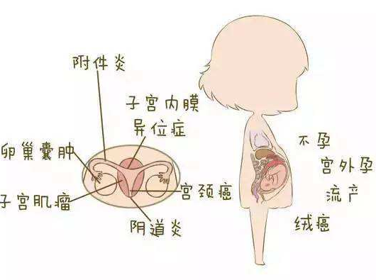 阴道分泌物茄子视频黄色版本下载安装包分析阴道炎早期症状