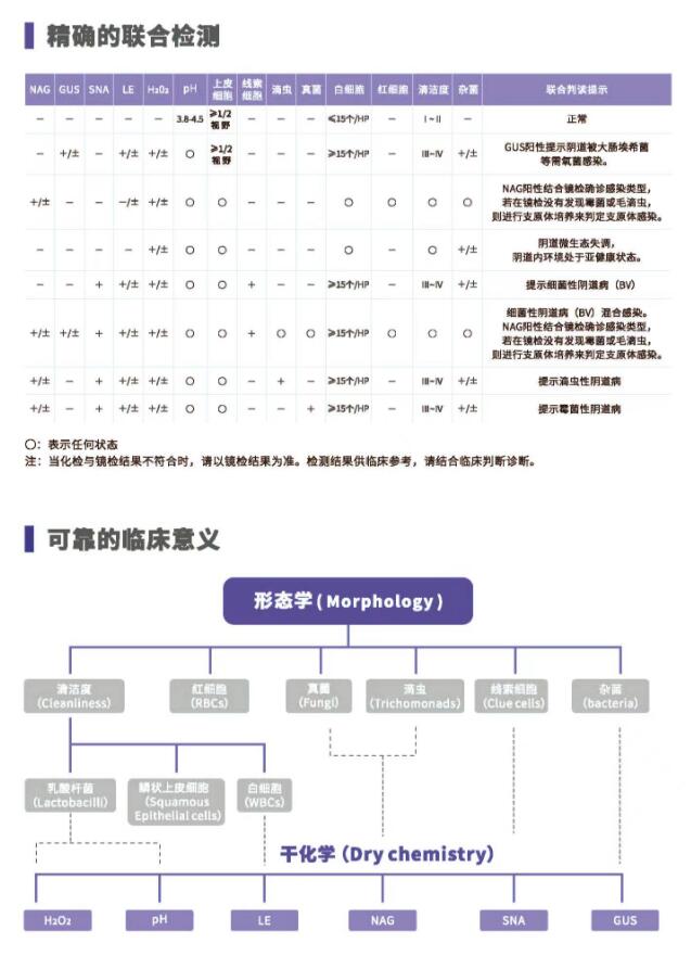 阴道分泌物茄子视频APP黄色V800精确的联合检测